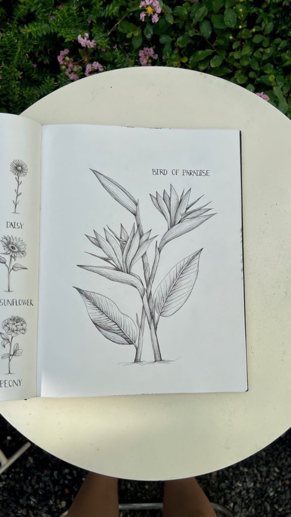 Pen - Bird of Paradise