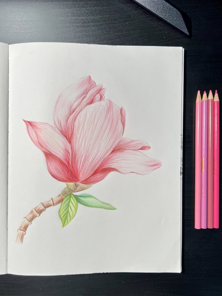 Color Pencils - Pink Magnolia