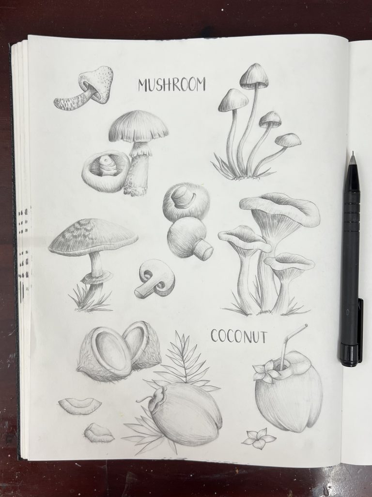 Pencil - Mushroom & Coconut